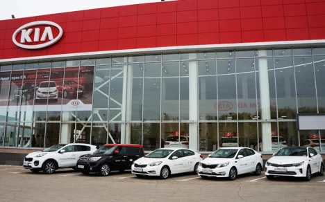 Изображение Элвис Kia